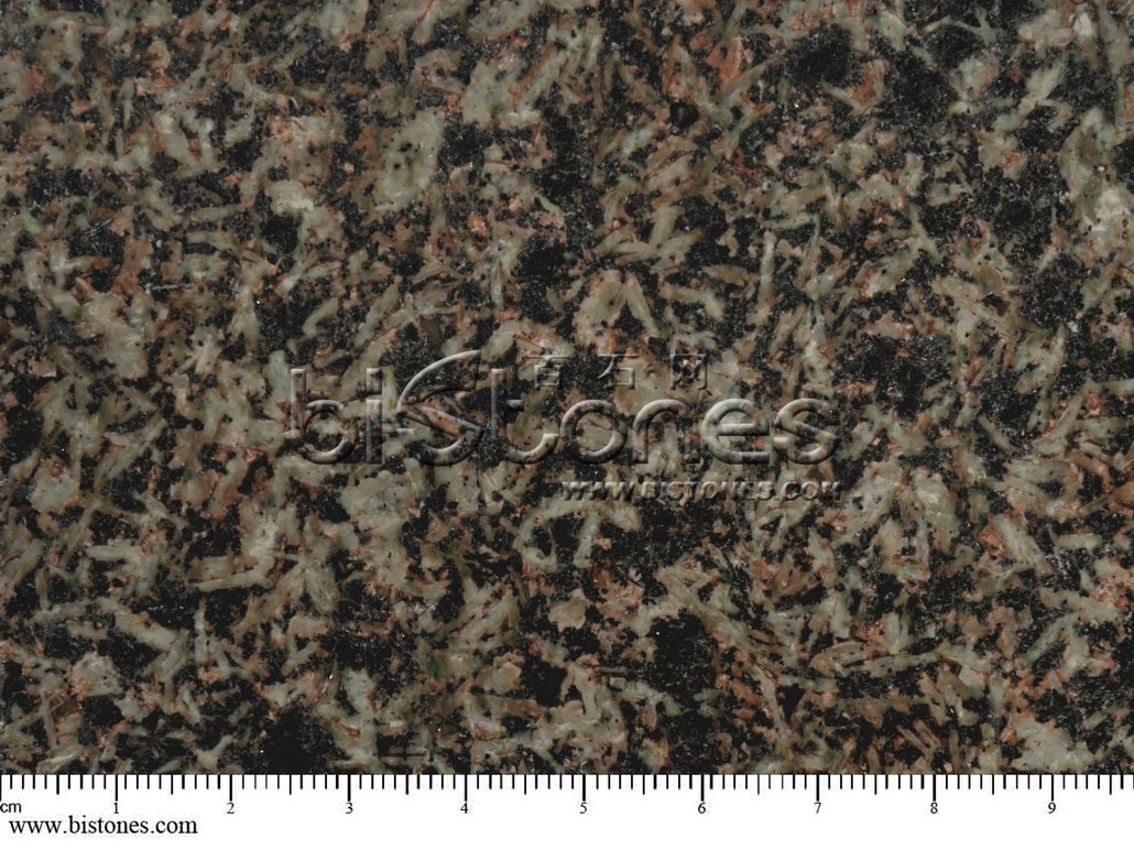 Verde ForestB