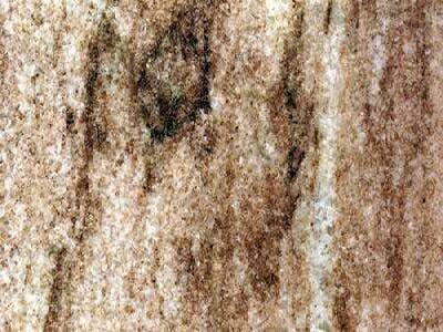 Amazonia Brown Amazonia Brown