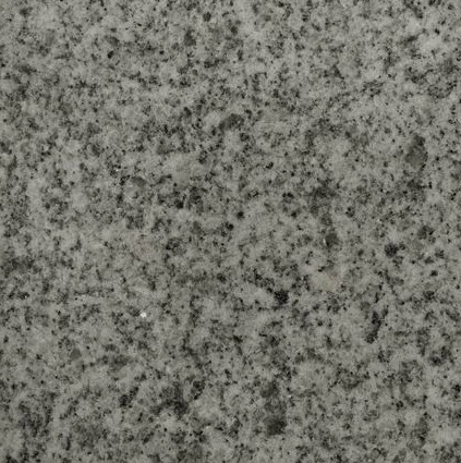 ShiFeng Gray ShiFeng Gray