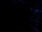 Belevi Black