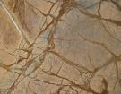 Bidasar Brown