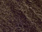 Black Mica