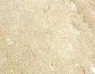 Ivory Borneo