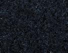 Cambrian Black