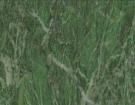 Lapponia Green
