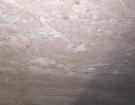 Carnis Breccia