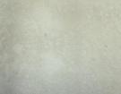 INS Beige