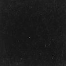 Bond Black