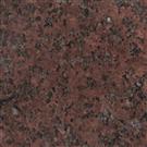 New Africa Red