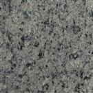 Turkey Gray