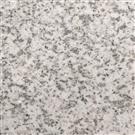 Shandong white