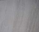 Bulbus Fritillariae Veins(Tint)